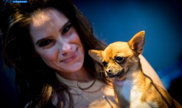 poker playing dogs